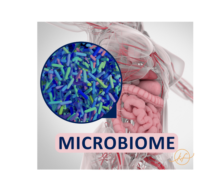 Why test your Gut Microbiome? Unlocking the secrets of your gut health